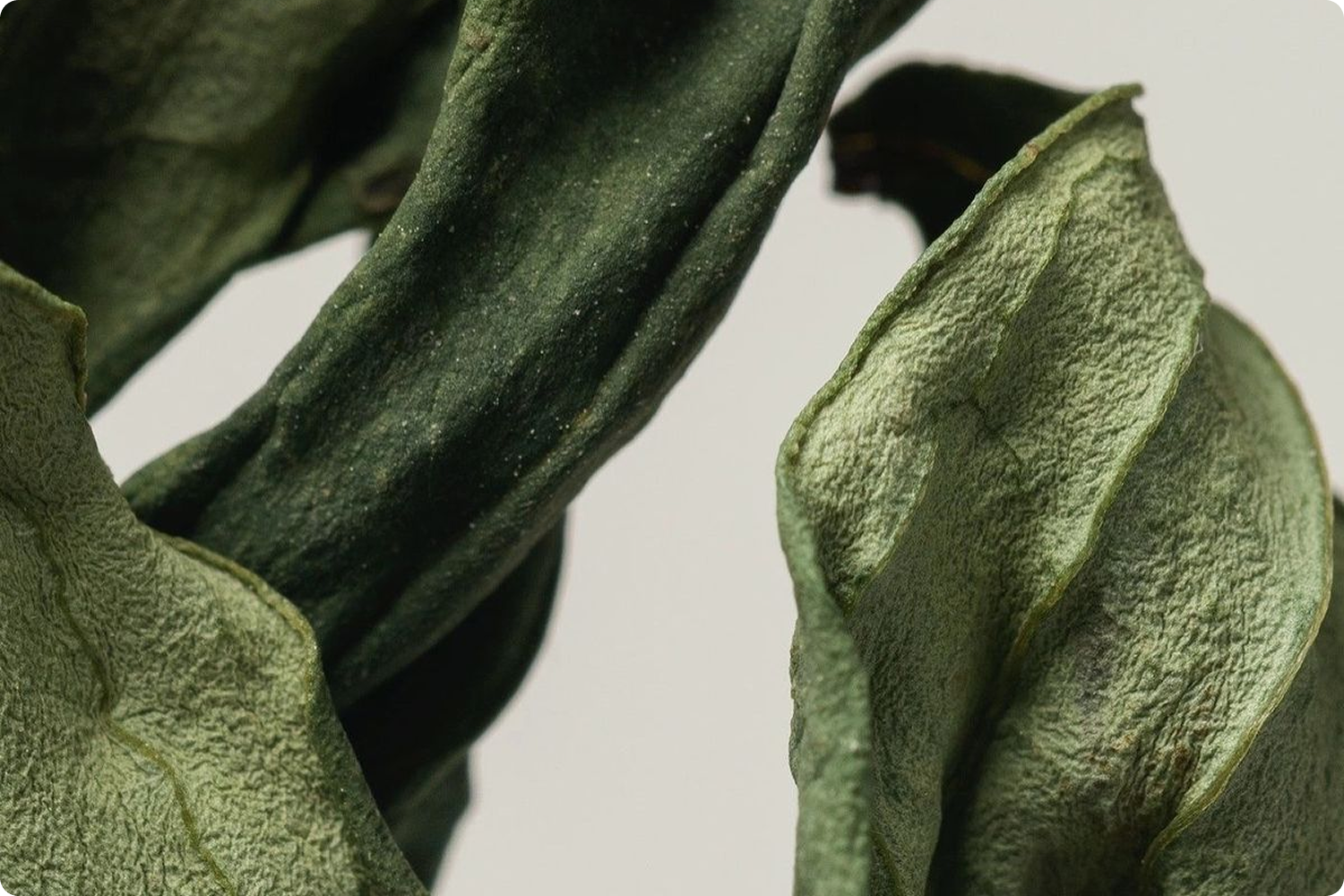 Méthode de 14 jours pour restaurer la vitalité